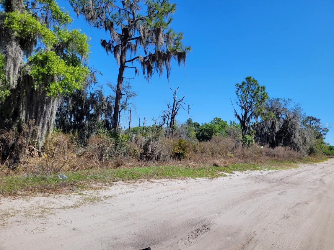 LAKE WALES ESTATES TR 602 - Land