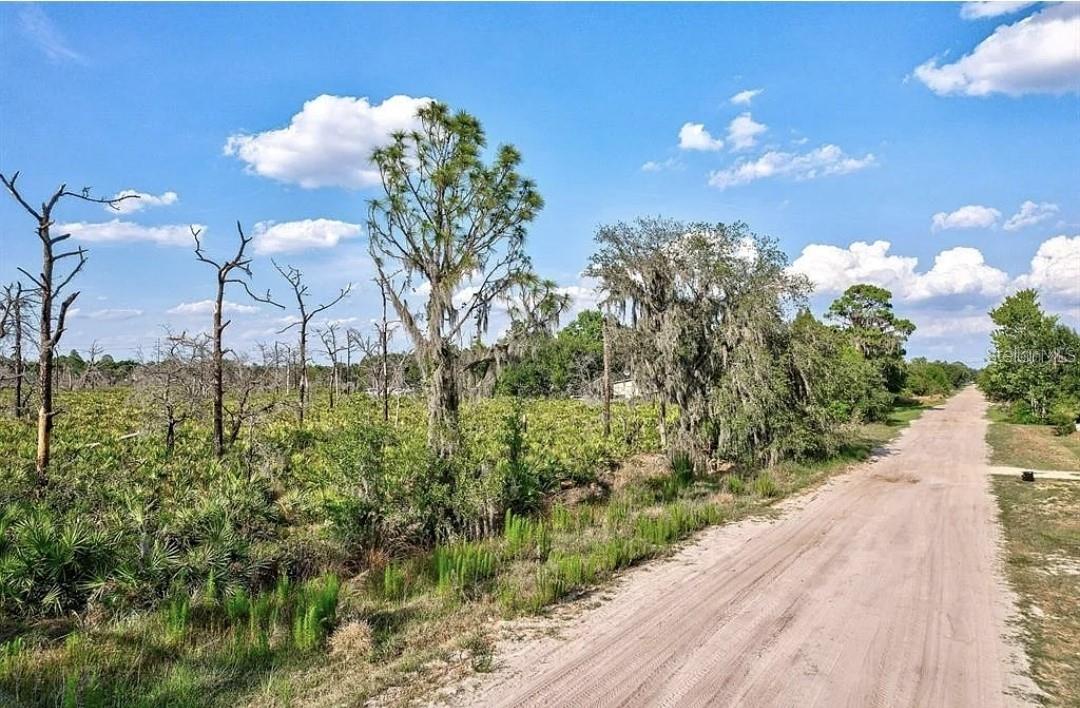 LAKE WALES ESTATES TR 602 - Land