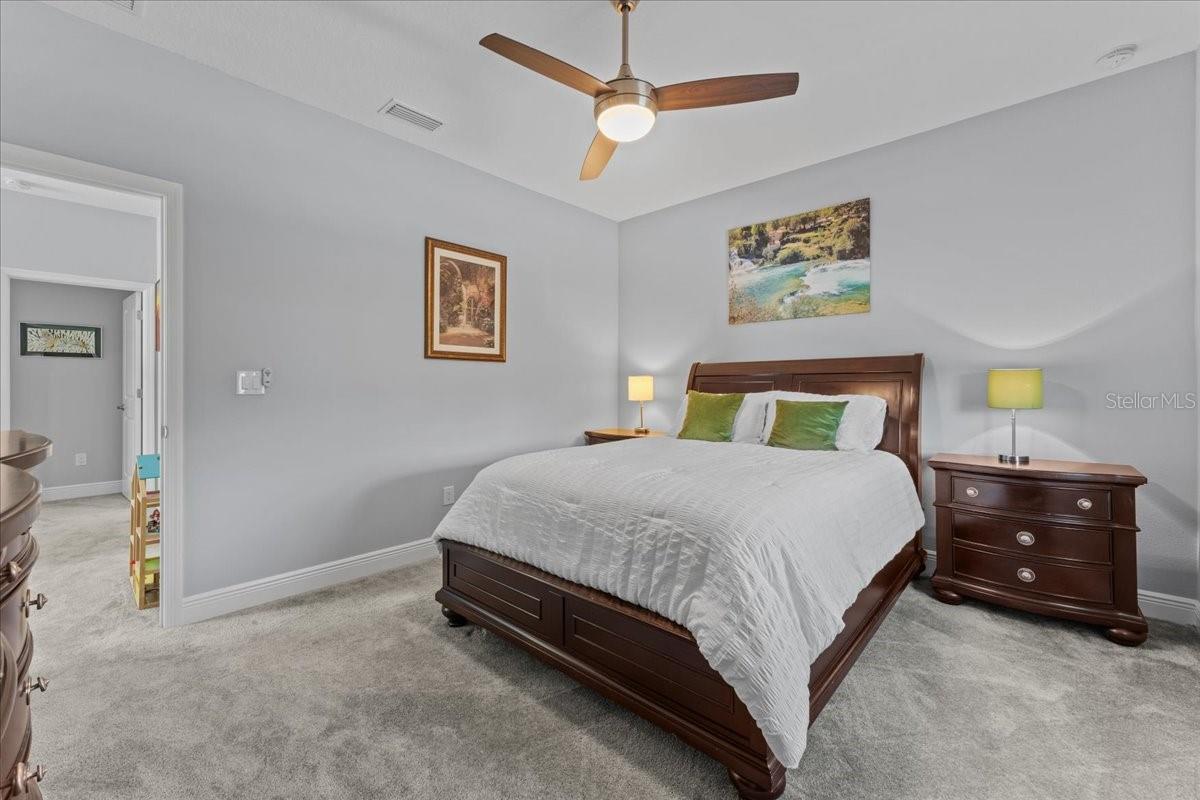 TOWNS AT SPRING LAKE - Residential