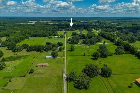 Tiny photo for 15795 NW 86th Avenue, Reddick, FL 32686 (MLS # OM705180)