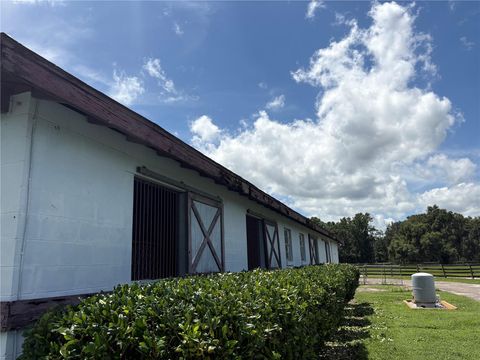 Tiny photo for 15795 NW 86th Avenue, Reddick, FL 32686 (MLS # OM705180)