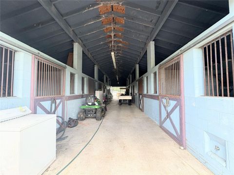 Tiny photo for 15795 NW 86th Avenue, Reddick, FL 32686 (MLS # OM705180)