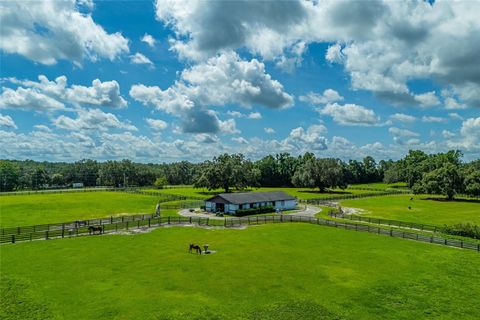 Tiny photo for 15795 NW 86th Avenue, Reddick, FL 32686 (MLS # OM705180)