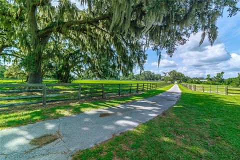 Tiny photo for 15795 NW 86th Avenue, Reddick, FL 32686 (MLS # OM705180)