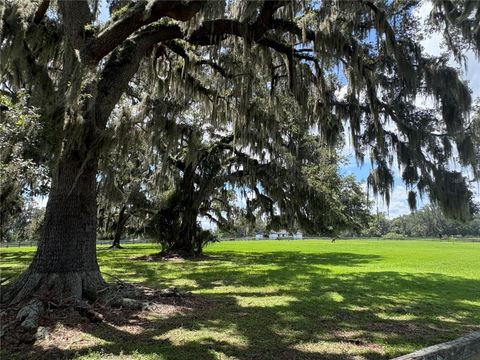 Tiny photo for 15795 NW 86th Avenue, Reddick, FL 32686 (MLS # OM705180)