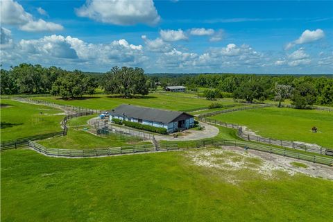 Tiny photo for 15795 NW 86th Avenue, Reddick, FL 32686 (MLS # OM705180)