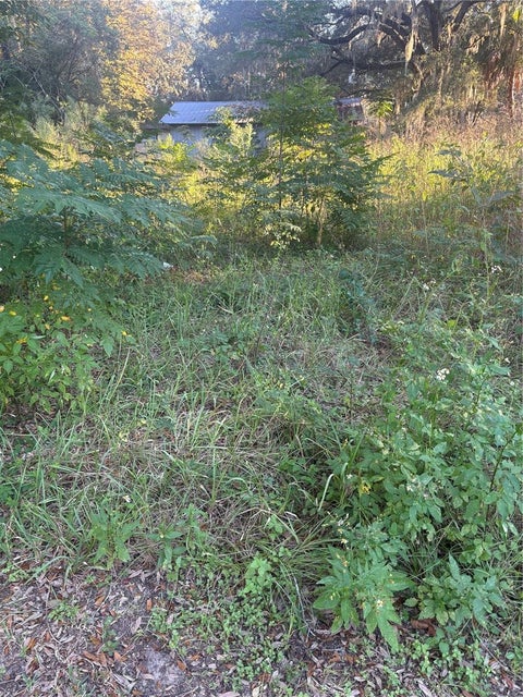 Tiny photo for NW 1st Street, Ocala, FL 34475 (MLS # GC544337)