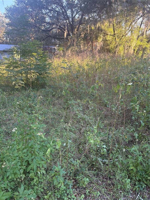 Tiny photo for NW 1st Street, Ocala, FL 34475 (MLS # GC544337)