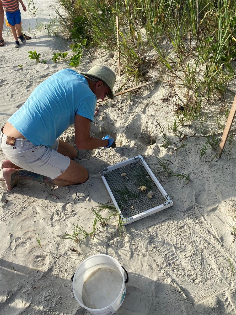 TOWERS AT PONCE INLET TOWER 01 CONDO - Residential