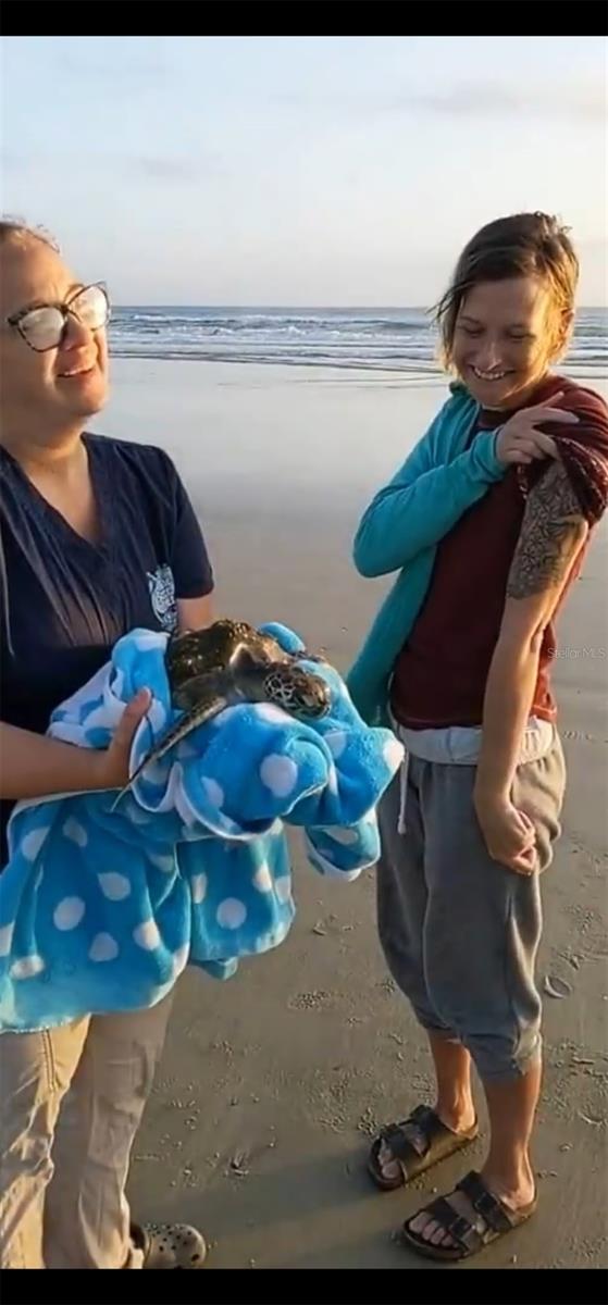 TOWERS AT PONCE INLET TOWER 01 CONDO - Residential