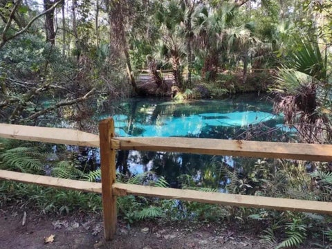 Tiny photo for 5413 NW 55th Court, Ocala, FL 34482 (MLS # OM734248)