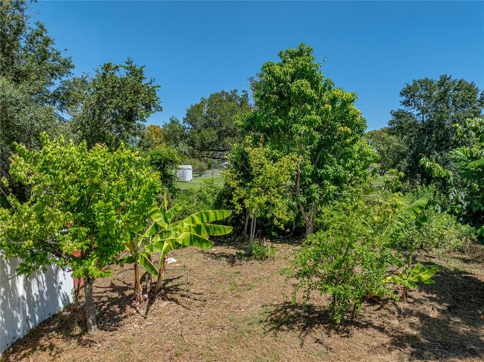 FOX RIDGE - Residential