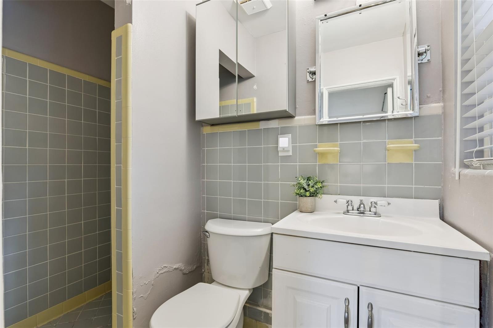 SPRING LAKE MANOR - Residential