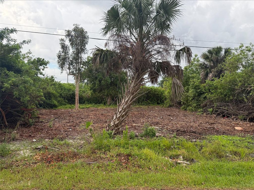 Photo of 861 Burland Street, Punta Gorda, FL 33950 (MLS # D6147474)