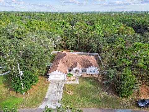 Tiny photo for 199 Pine Street, Homosassa, FL 34446 (MLS # TB8482433)