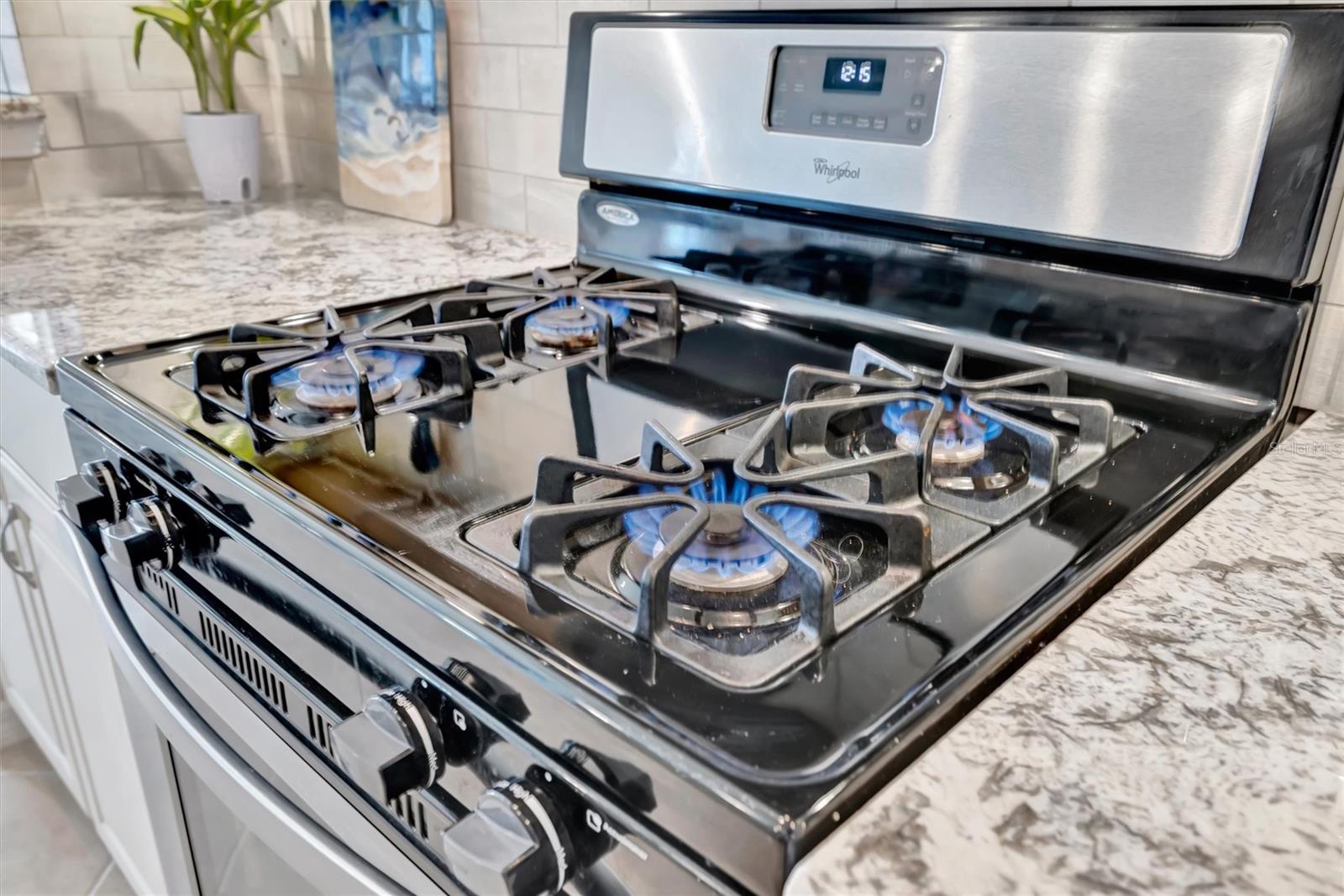 THE LAGOON I AT TIDEWATER PRESERVE AMD - Residential