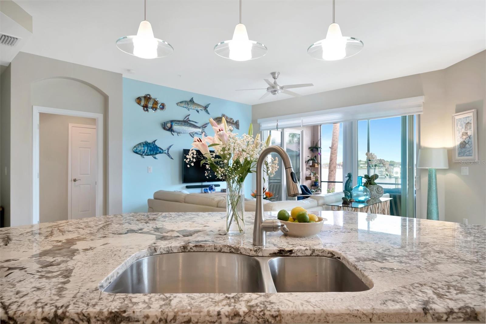 THE LAGOON I AT TIDEWATER PRESERVE AMD - Residential