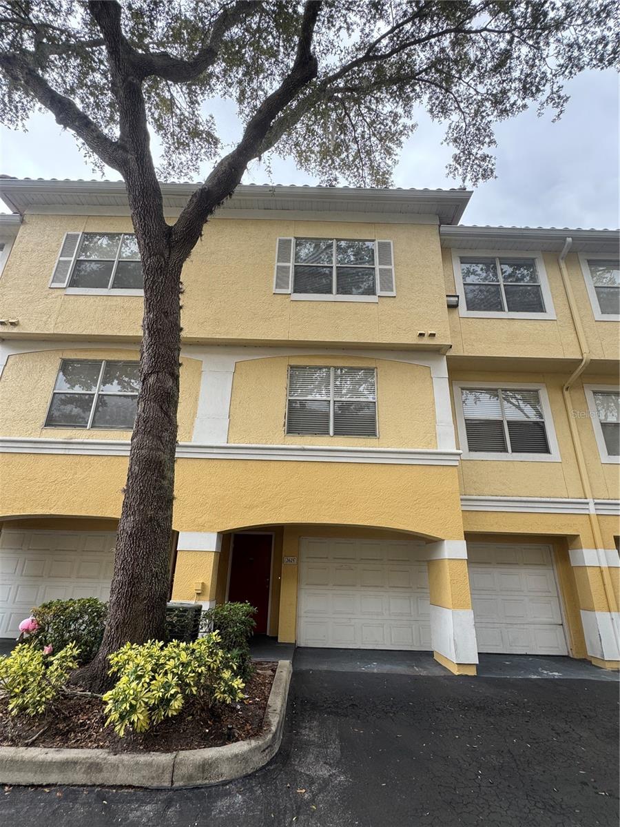 VISCONTI EAST - Residential Lease