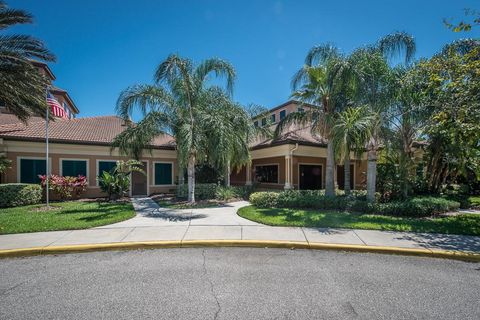 A home in APOLLO BEACH