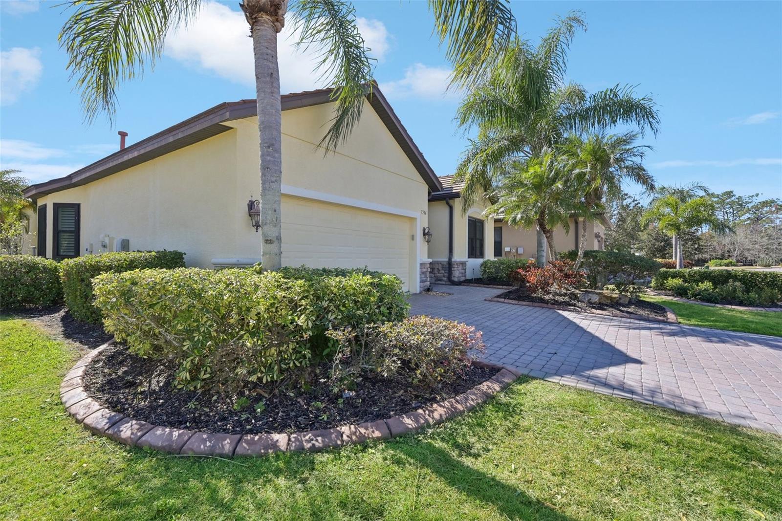 RIVA TRACE - Residential