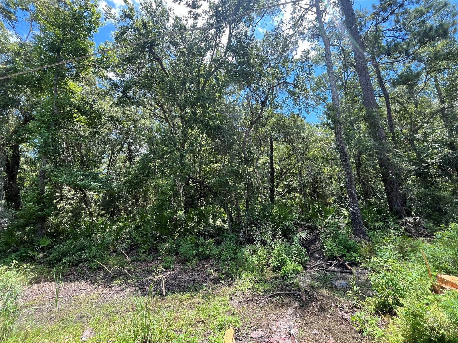 FRANKLIN DRIVE
