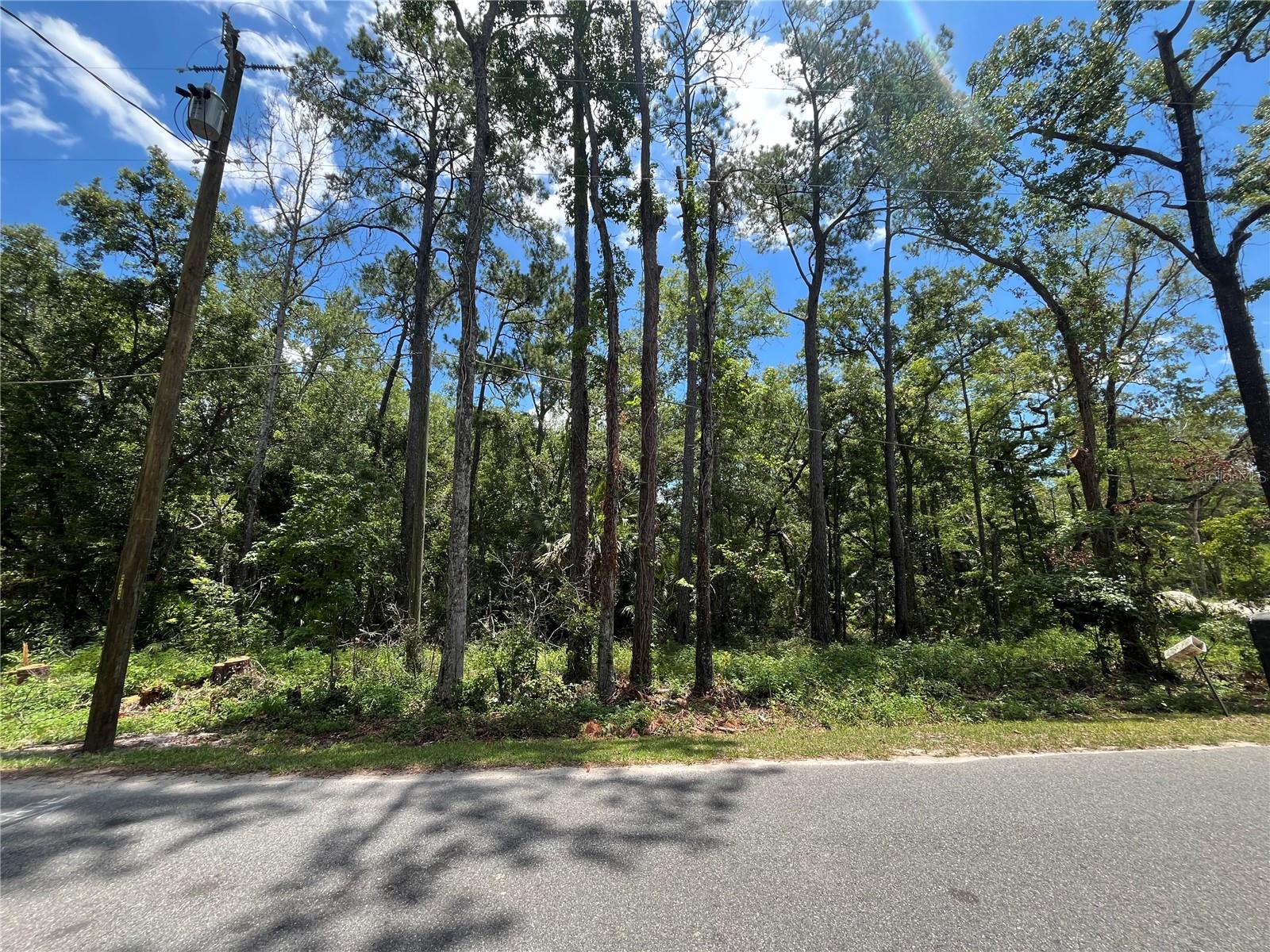FRANKLIN DRIVE