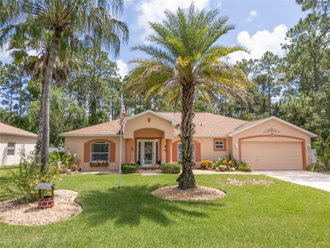 A home in PALM COAST