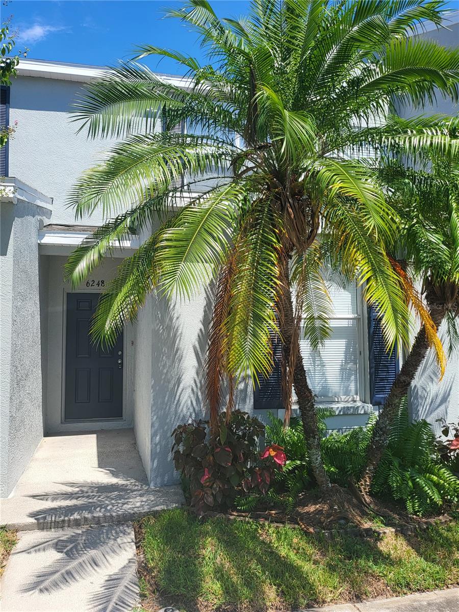 Completely remodeled 3-bedroom, 3-bath townhome in the gated Osprey Run community. This spacious residence features brand-new porcelain flooring throughout, modern LED lighting, and stylish quartz countertops paired with solid wood cabinetry in the kitchen and baths. The kitchen is fully updated with stainless steel appliances, while a convenient bedroom and full bath are located on the first floor.
Additional highlights include a washer and dryer, ceiling fans in every bedroom, and access to community amenities such as a pool and playground. Perfectly situated near the Selmon Expressway, I-75, and US-301, you’ll enjoy quick access to restaurants, shopping, and downtown Tampa—less than 20 minutes away.