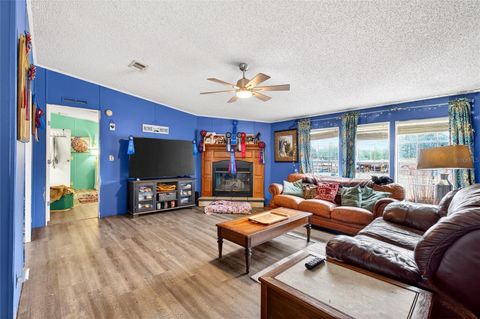 Tiny photo for 650 NE 170th Avenue, Williston, FL 32696 (MLS # OM714958)