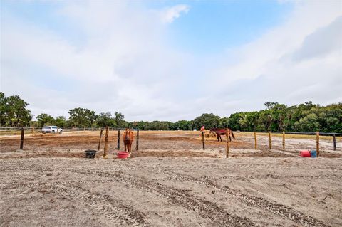 Tiny photo for 650 NE 170th Avenue, Williston, FL 32696 (MLS # OM714958)