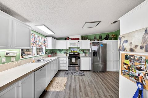 Tiny photo for 650 NE 170th Avenue, Williston, FL 32696 (MLS # OM714958)