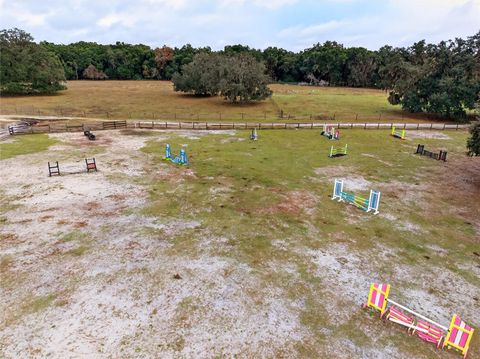 Tiny photo for 650 NE 170th Avenue, Williston, FL 32696 (MLS # OM714958)