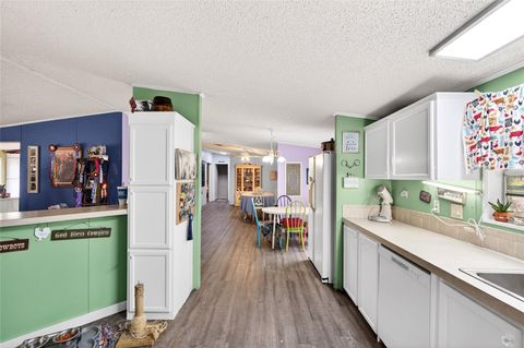 Tiny photo for 650 NE 170th Avenue, Williston, FL 32696 (MLS # OM714958)