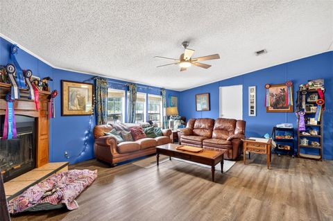 Tiny photo for 650 NE 170th Avenue, Williston, FL 32696 (MLS # OM714958)