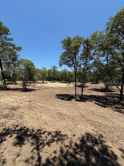 **Checkout this amazing corner lot thats (Cleared) in Williston Highlands** The Lot is 1.37 acres the dimensions are 305x196 and it has been cleared. The owner left a few trees onsite just in case someone wants to utilize them for landscape. All roots have been raked and the lot is ready to build. Also they are installing Broadband internet in the area so don't let this Golden opportunity pass you by... Call Now!!