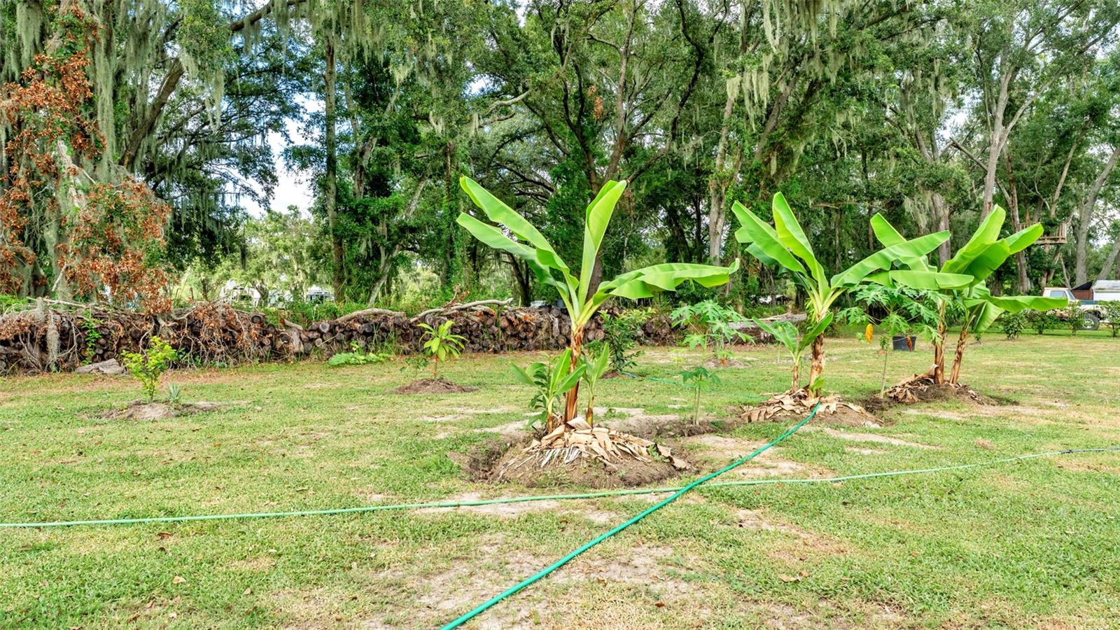 NOT IN SUBDIVISION - Residential