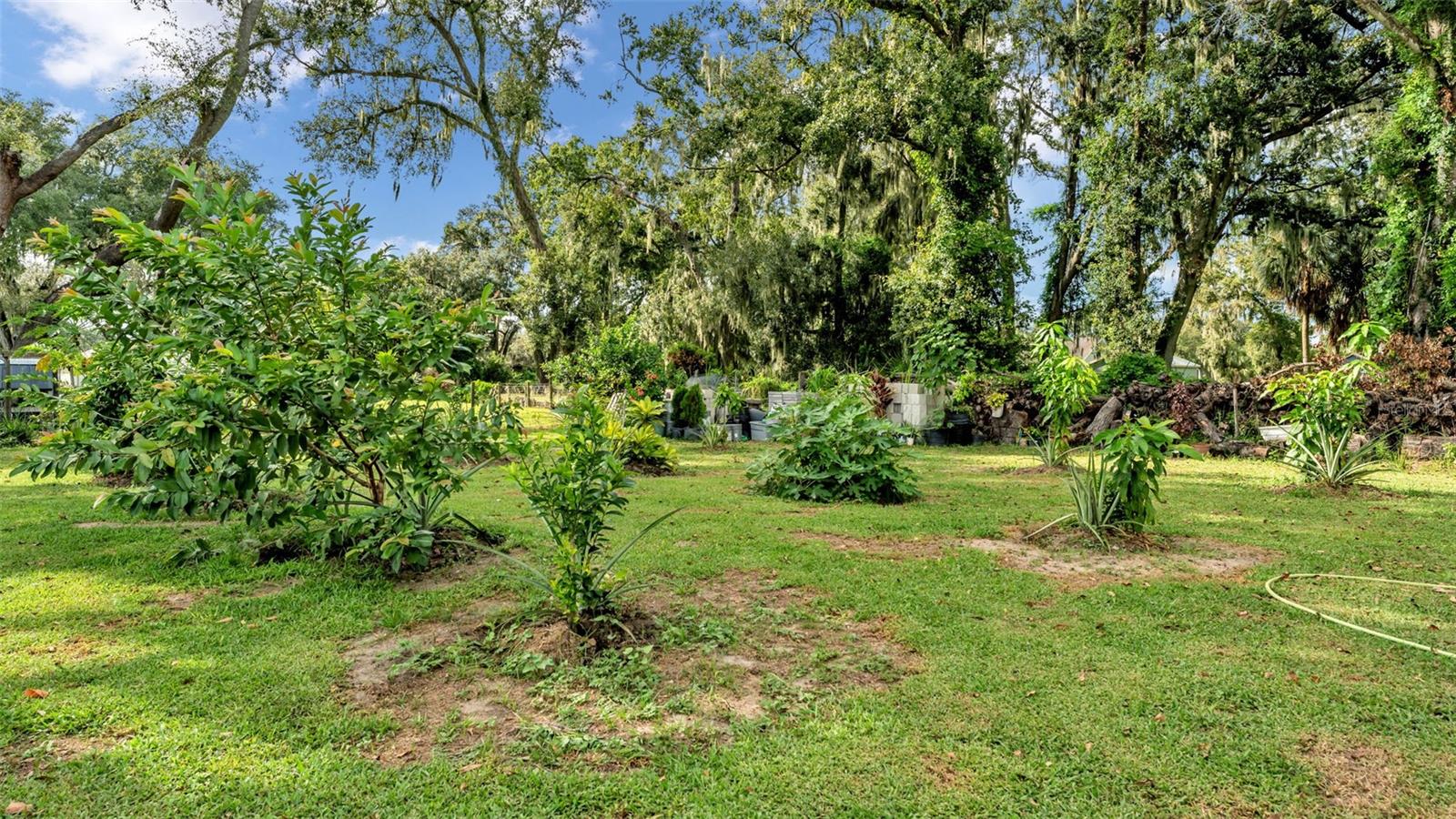 NOT IN SUBDIVISION - Residential