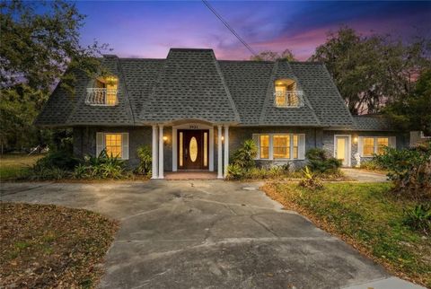 Photo of 3921 E Osceola Road, Geneva, FL 32732 (MLS # O6378477)