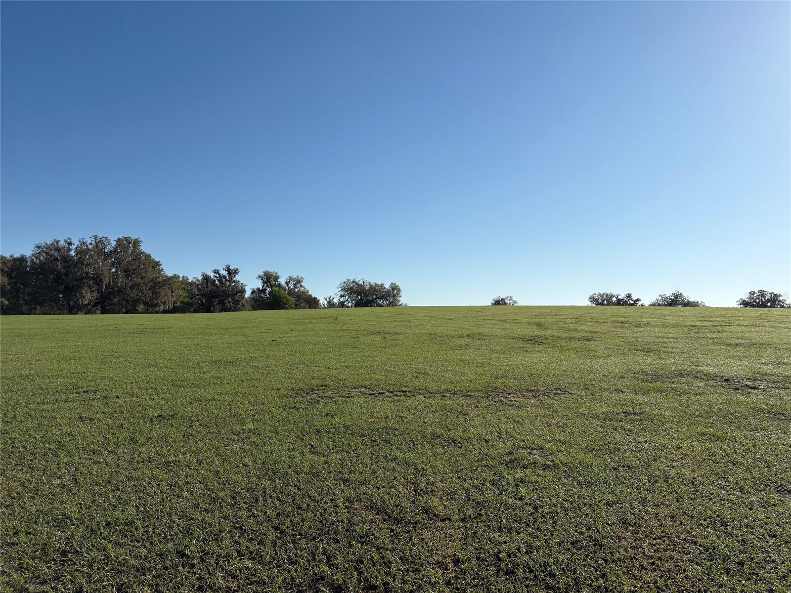 0 Citrus WAY (NE CORNER OF CITRUS WAY AND PARSONS RD)