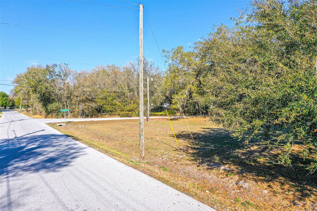 Photo of Central Avenue, Mulberry, FL 33860 (MLS # L4959912)