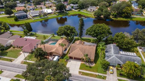 A home in RIVERVIEW