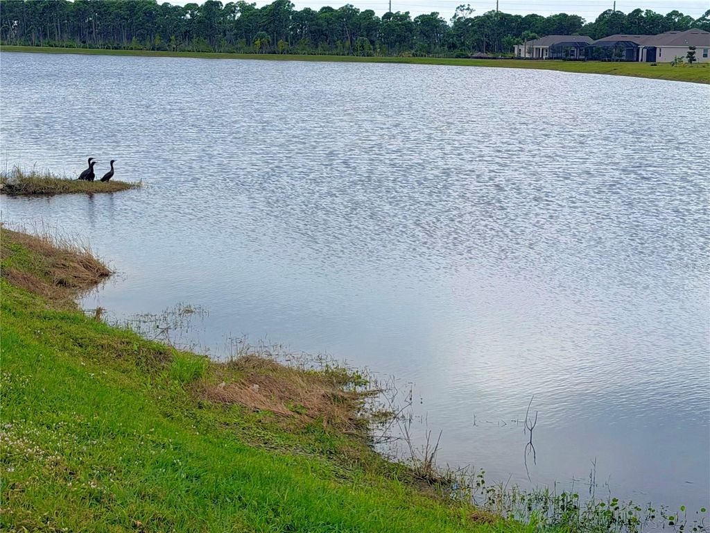 Photo of 8074 Saint Kitts Circle, Englewood, FL 34224 (MLS # A4674259)