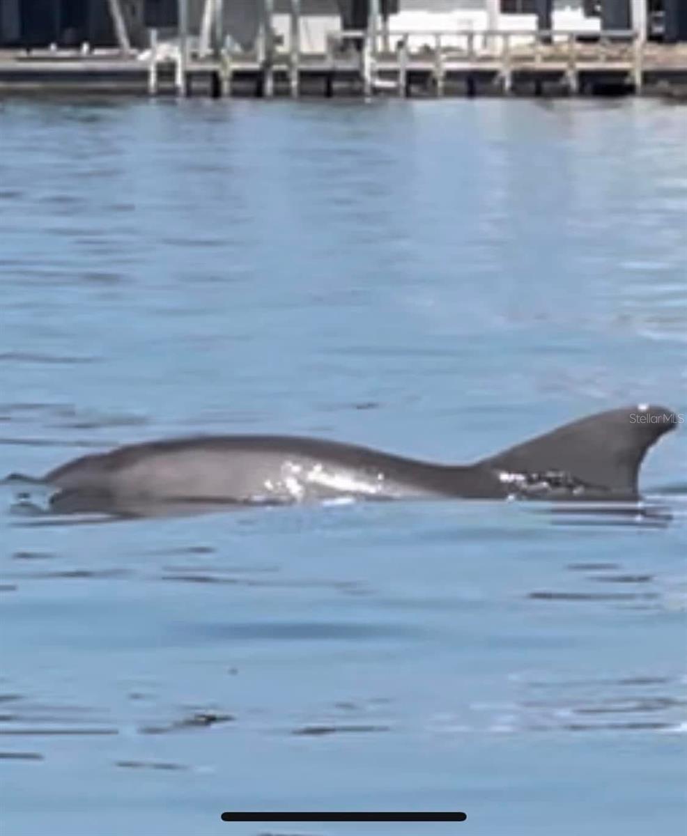 ISLAND LAKES @ COCO BAY - Residential