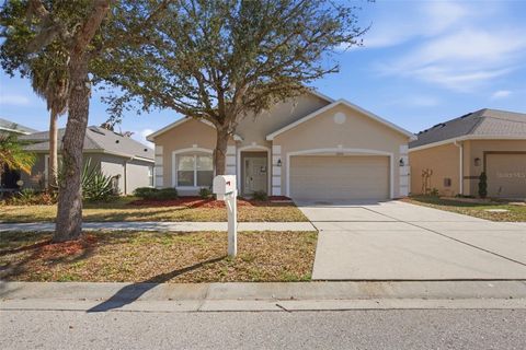Photo of 12122 Fern Blossom Drive, Gibsonton, FL 33534 (MLS # O6384659)