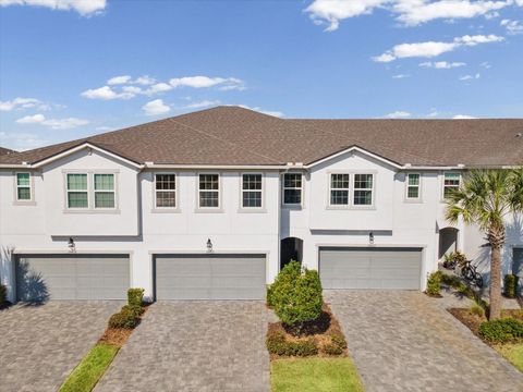 19421 BLUE POND DRIVE LUTZ FL 33558