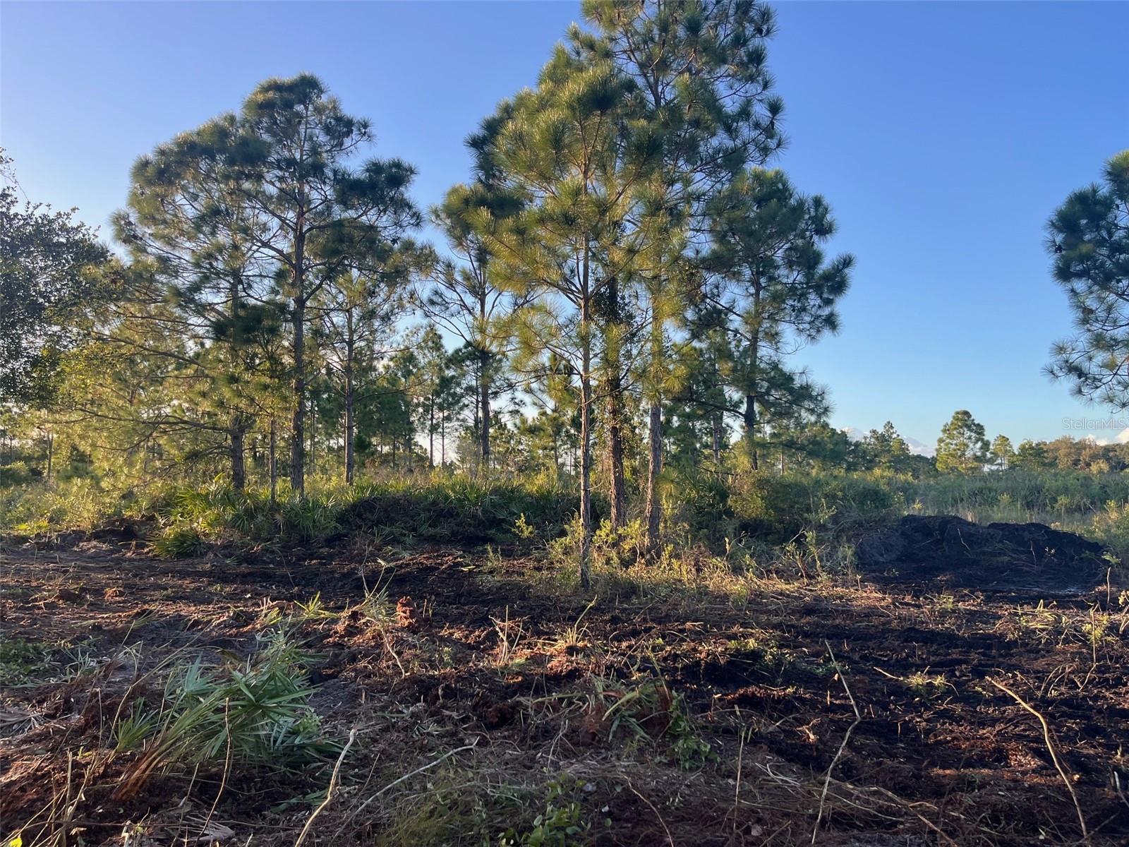 SOUTHERN COLONIZATION CO - Land