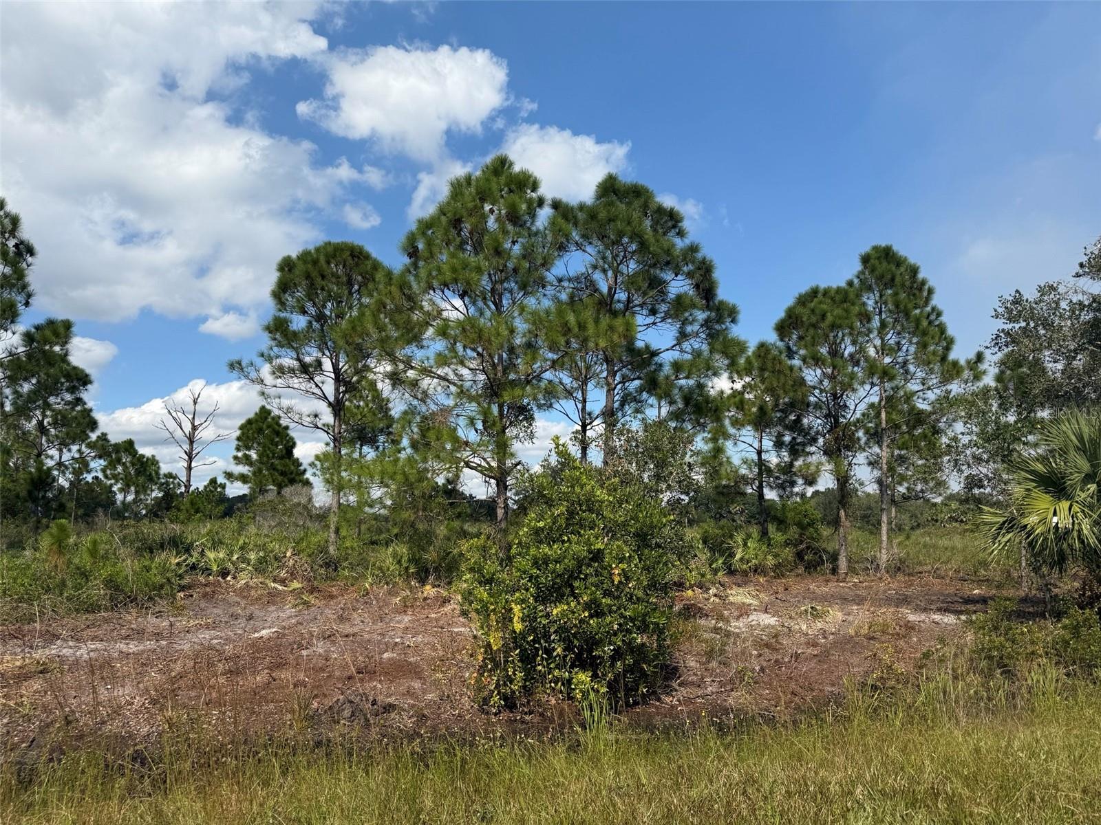 SOUTHERN COLONIZATION CO - Land