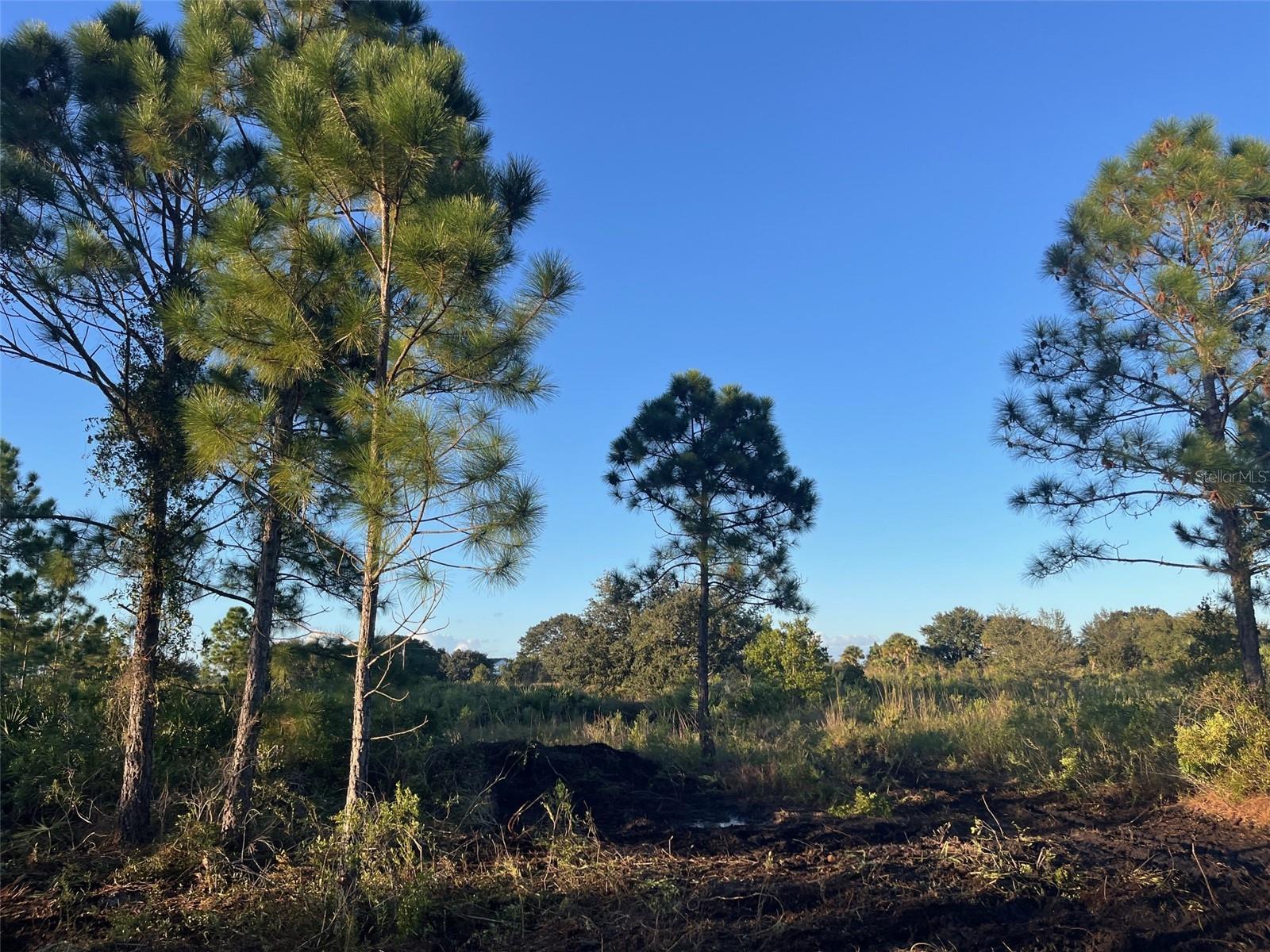 SOUTHERN COLONIZATION CO - Land