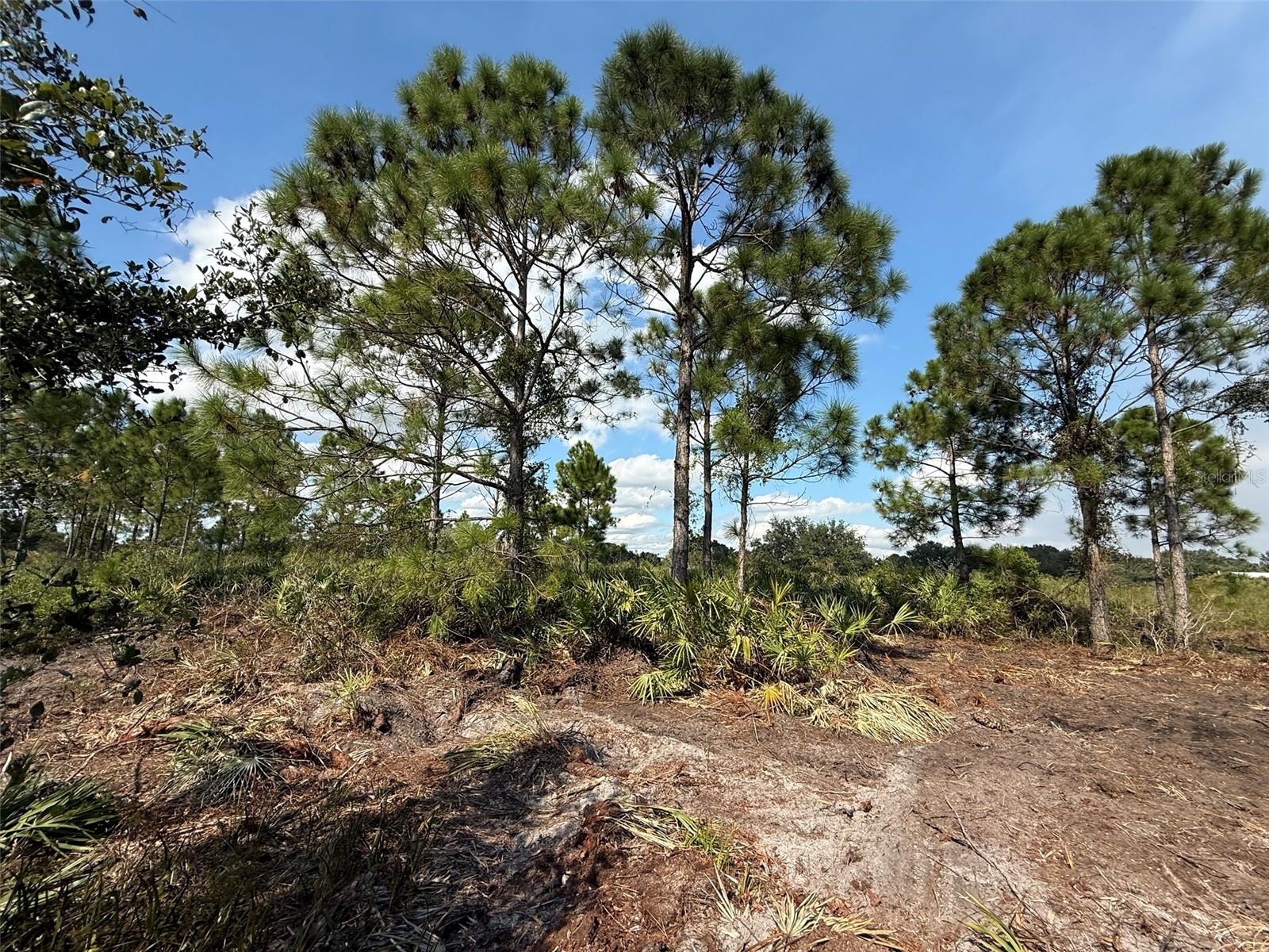 SOUTHERN COLONIZATION CO - Land