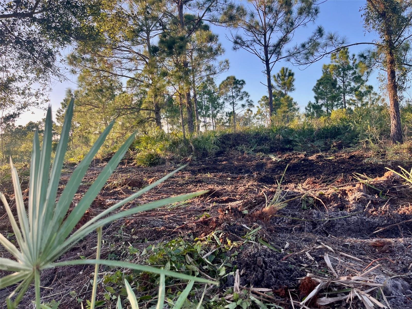 SOUTHERN COLONIZATION CO - Land